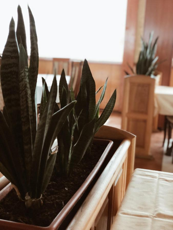 Hotel Kupres 쿠프레스 외부 사진